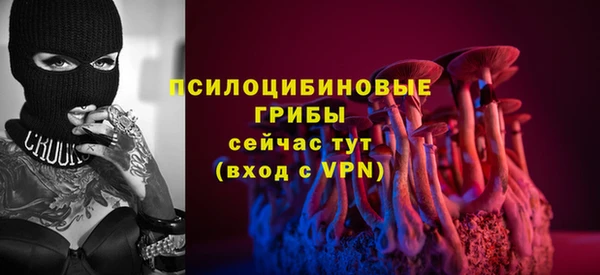 соль ск Белоозёрский