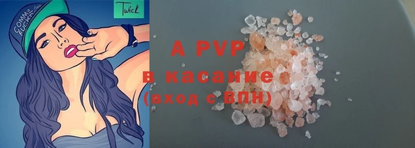 ECSTASY Белокуриха