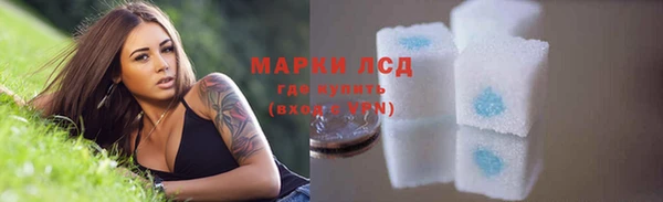 ECSTASY Белокуриха