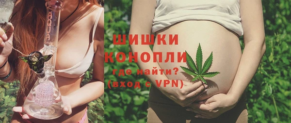 PSILOCYBIN Богородск