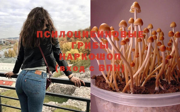 PSILOCYBIN Богородск